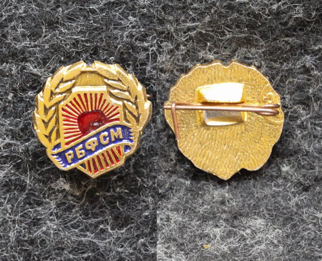 Знак РБФСМ (Российский благотворительный фонд содействия милиции) МВД от Аукциона Значки и Знаки
