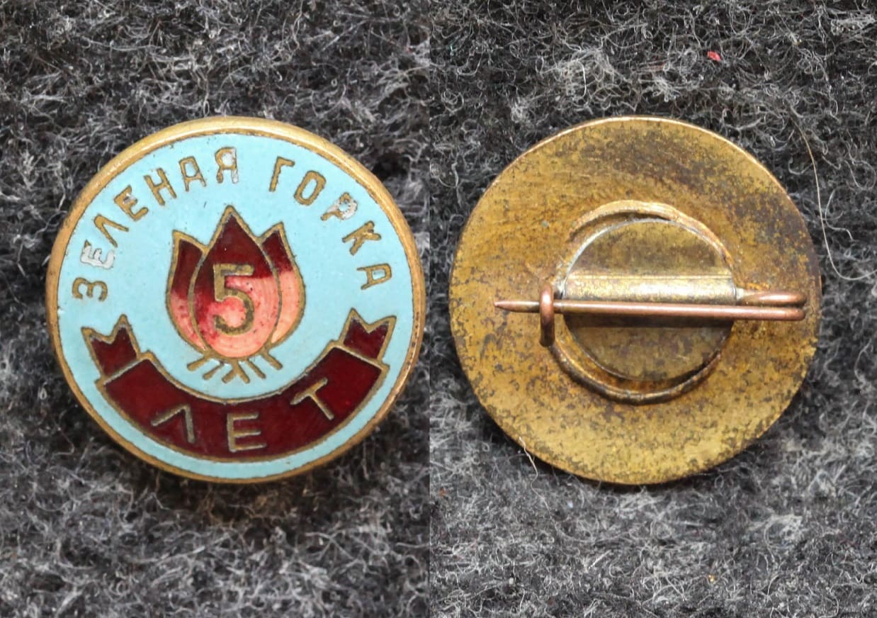 Знак Пионерлагерь Зеленая горка 5 лет от Аукциона Значки и Знаки
