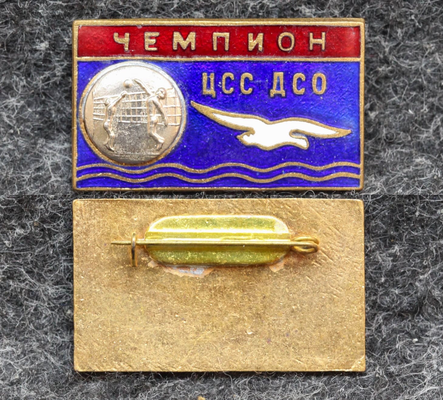 Призовой знак первенства ДСО Буревестник Волейбол чемпион от Аукциона Значки и Знаки
