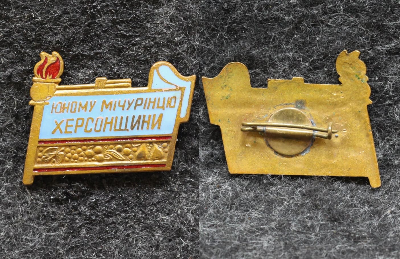 Знак Юному мичуринцу Херсонщины Пионерия от Аукциона Значки и Знаки