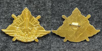 Знак ЧУБП 40 лет Знак ЧУБП 40 лет