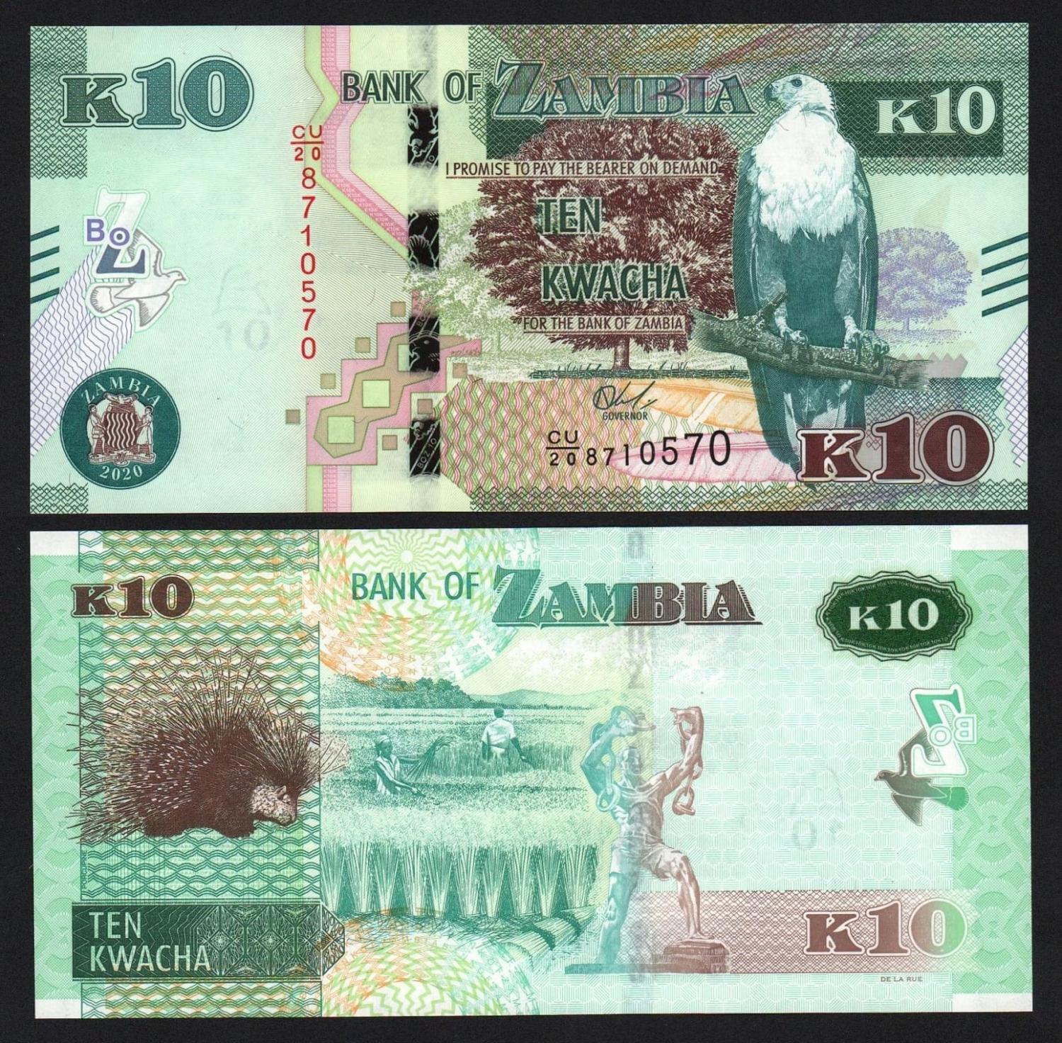 Банкнота Замбия 10 квача 2020 год UNC! от Аукциона Значки и Знаки