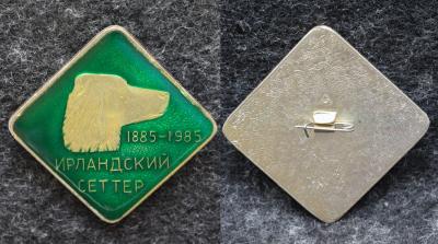 Знак Выставка МОО и Р 100 лет Ирландского Сеттера