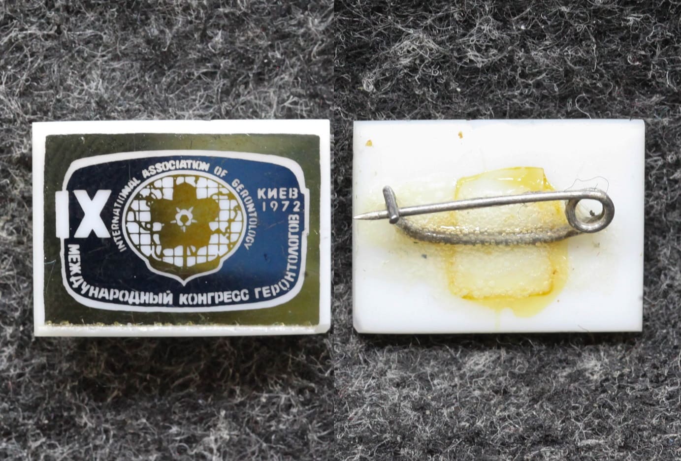 Знак Международный конгресс геронтологов Киев 1972 год от Аукциона Значки и Знаки
