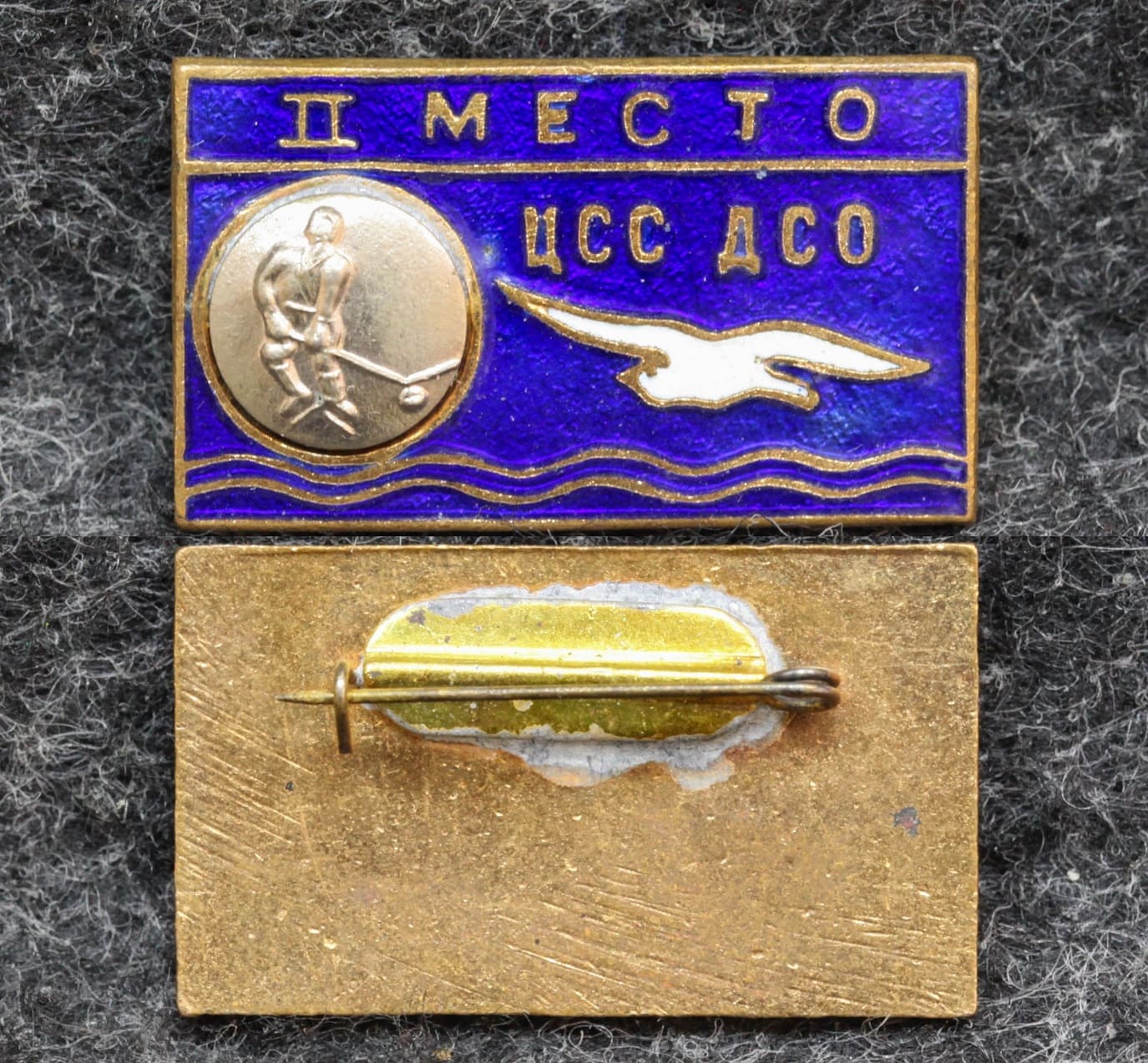 Призовой знак первенства ДСО Буревестник Хоккей II место от Аукциона Значки и Знаки